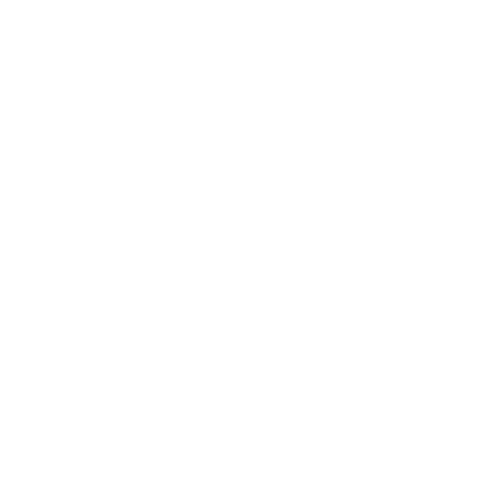 HTML 5 Icon