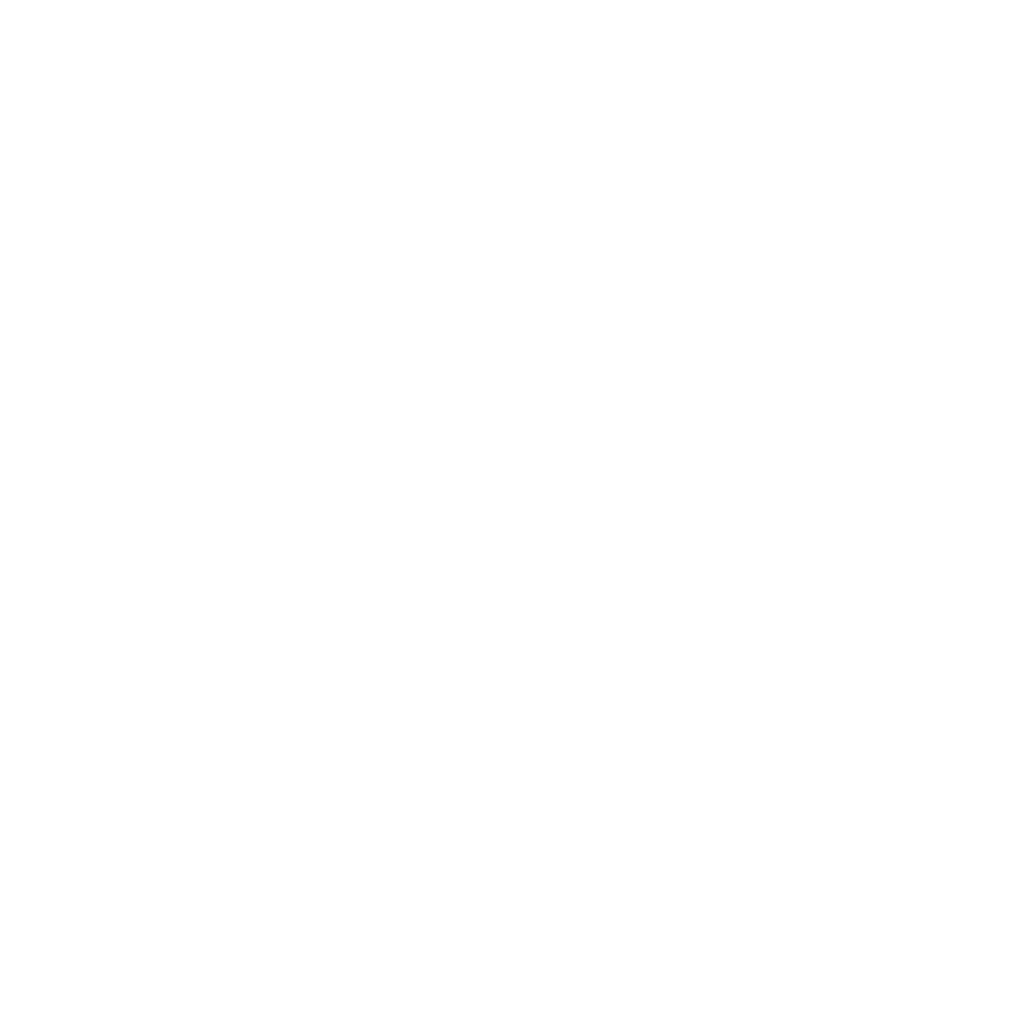 SEO Icon